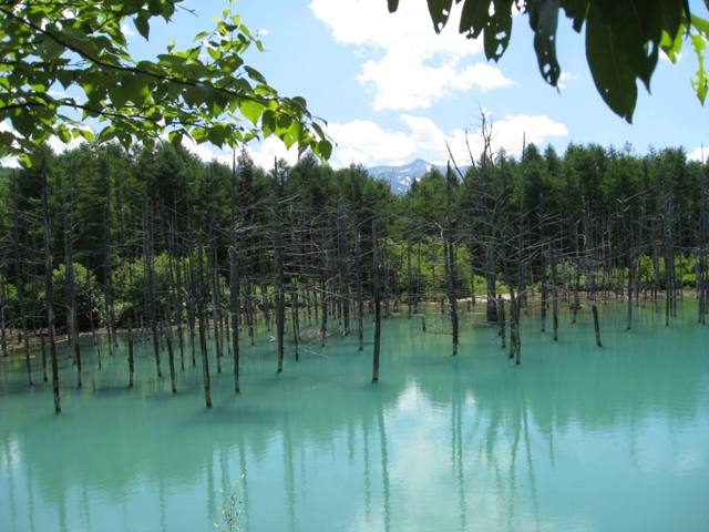 Fay & Alan Fay & Alan