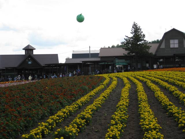 Howard & Alan Howard & Alan